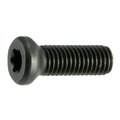 Midwest Fastener #6-48 x 3/8 in Torx Oval Machine Screw, Black Oxide Steel, 12 PK 32973